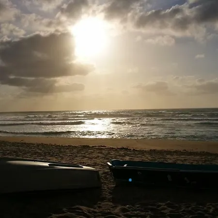 Sunny Seaside